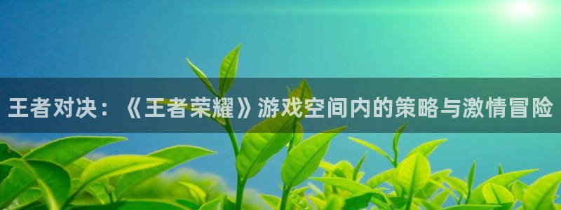杜邦娱乐注册官方登录app：王者对决：《王者荣耀》游戏空间内