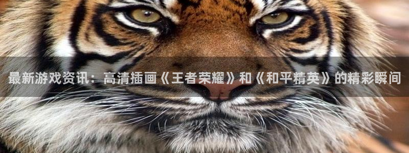 杜邦娱乐下载链接：最新游戏资讯：高清插画《王者荣耀》和《和平