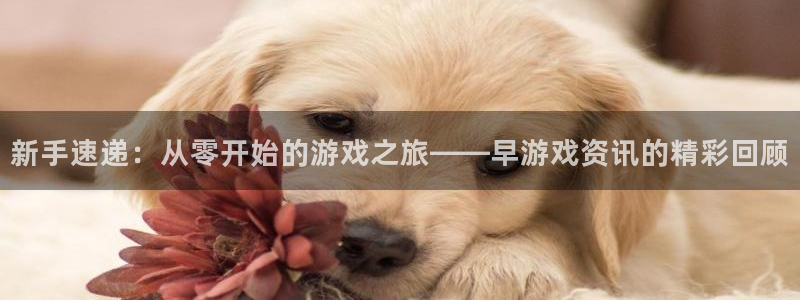 杜邦娱乐测速登陆：新手速递：从零开始的游戏之旅——早游戏资讯