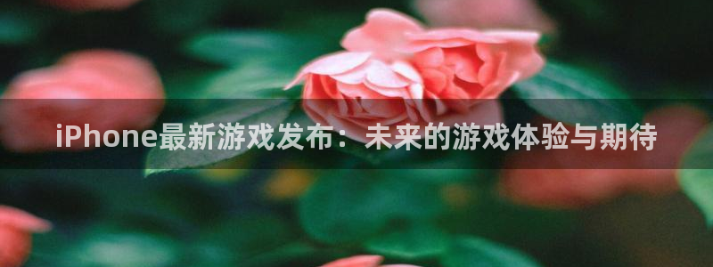 杜邦娱乐平台注册资金多少：iPhone最新游戏发布：未来的游