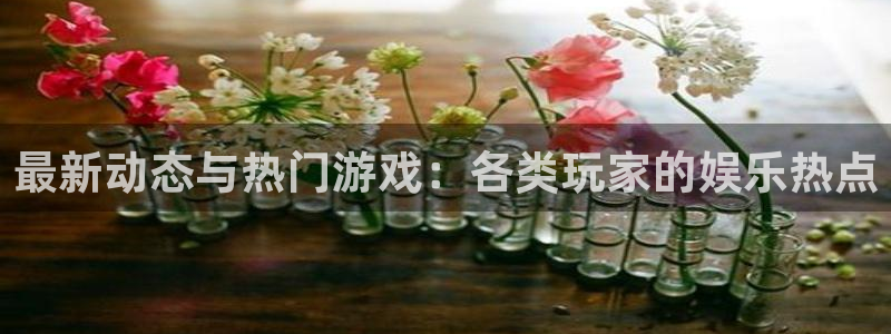 杜邦娱乐主管：最新动态与热门游戏：各类玩家的娱乐热点