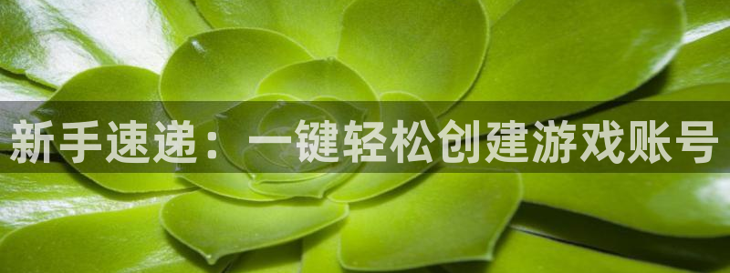 杜邦娱乐：新手速递：一键轻松创建游戏账号