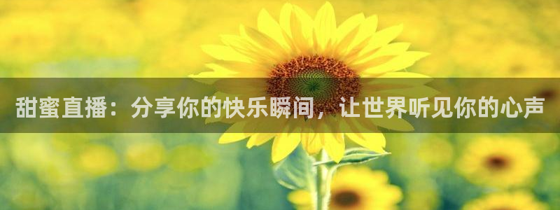山猫体育360直播在线观看