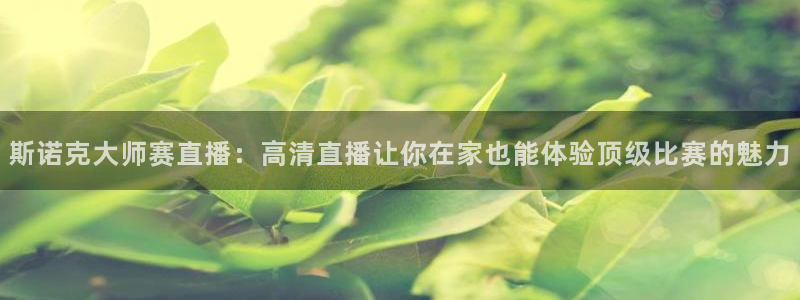 360足球比赛直播无插件：斯诺克大师赛直播：高清直播让你在家也能体验顶级比赛的魅力