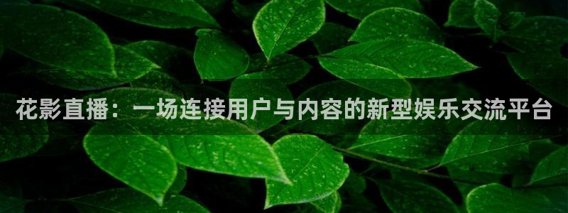 360无插件直播体育：花影直播：一场连接用户与内容的新型娱乐交流平台