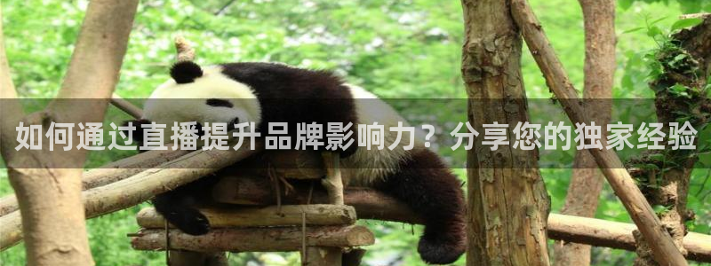 雨燕360体育免费直播nba下载：如何通过直播提升品牌影响力？分享您的独家经验