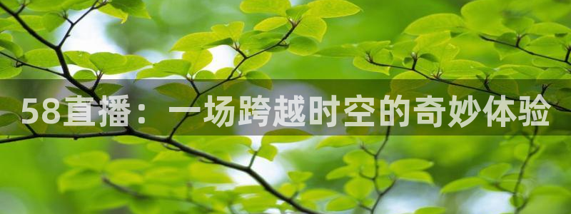 雨燕360足球高清直播：58直播：一场跨越时空的奇妙体验