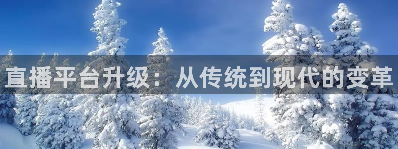 360 体育直播：直播平台升级：从传统到现代的变革