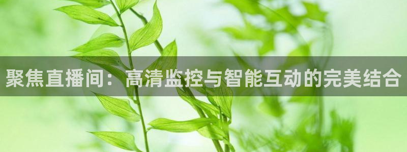 雨燕直播足球360：聚焦直播间：高清监控与智能互动的完美结合